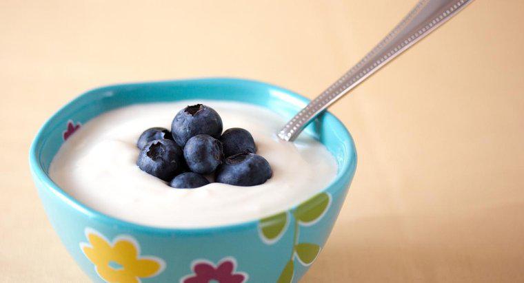 ¿Cuáles son las principales marcas de yogur sin lactosa?