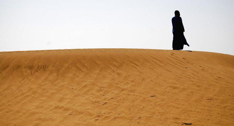 ¿Qué tan caliente puede llegar al desierto del Sahara durante el verano?