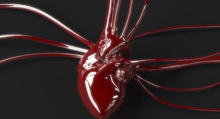 ¿Cuál es la diferencia entre la sangre arterial y venosa?