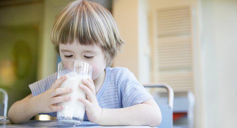 ¿Puedes tomar leche mientras tomas antibióticos?