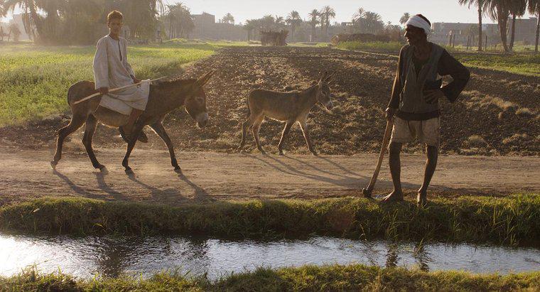 ¿Por qué fue el valle del río Nilo bueno para la agricultura?
