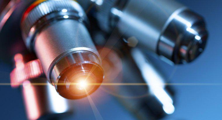 ¿Para qué se usa un microscopio de luz?
