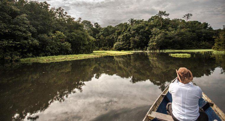 ¿Qué tan profundo es el río Amazonas?