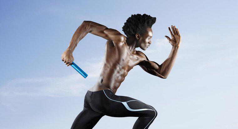¿Qué músculos se utilizan en el sprint?