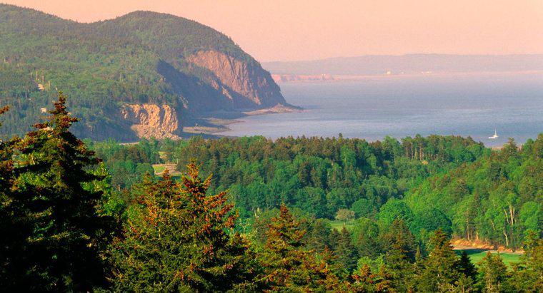 ¿Dónde está el Parque Nacional de la Bahía de Fundy?
