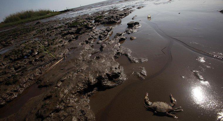 ¿Qué causa los derrames de petróleo?