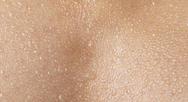 ¿Qué excreta la piel?
