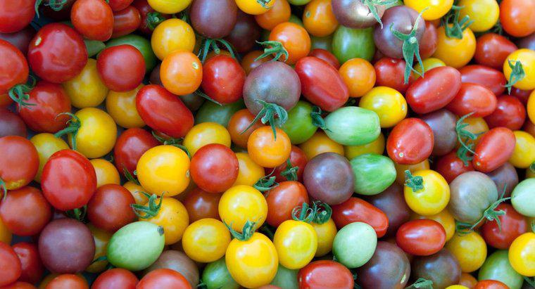 ¿Los tomates contienen ácido cítrico?