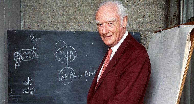 ¿Francis Crick usó el LSD?