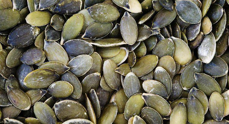 ¿Se puede comer cáscaras de semillas de calabaza?