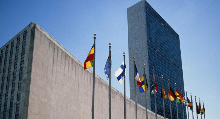 ¿Por qué se formaron las Naciones Unidas?