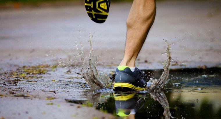 ¿Cuál es la velocidad promedio de jogging de un ser humano?