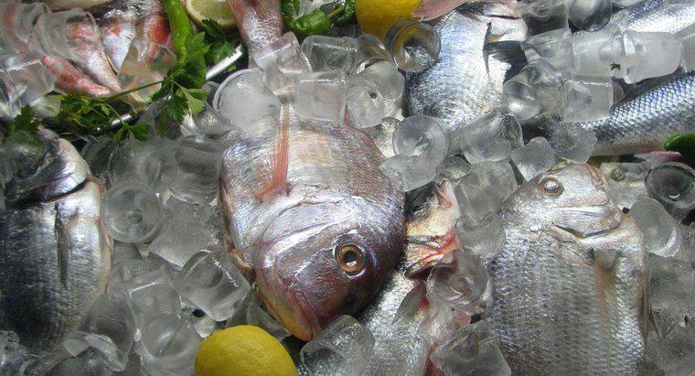¿Cuál es la mejor manera de descongelar pescado congelado?