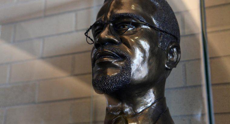¿Por qué es famoso Malcolm X?