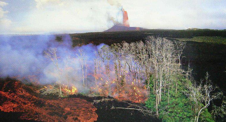 ¿Cuántas personas murieron en la erupción de Kilauea?