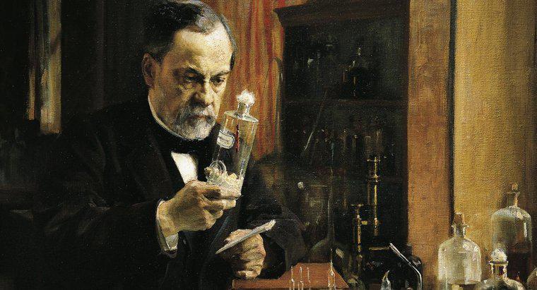 ¿Louis Pasteur tiene hermanos o hermanas?