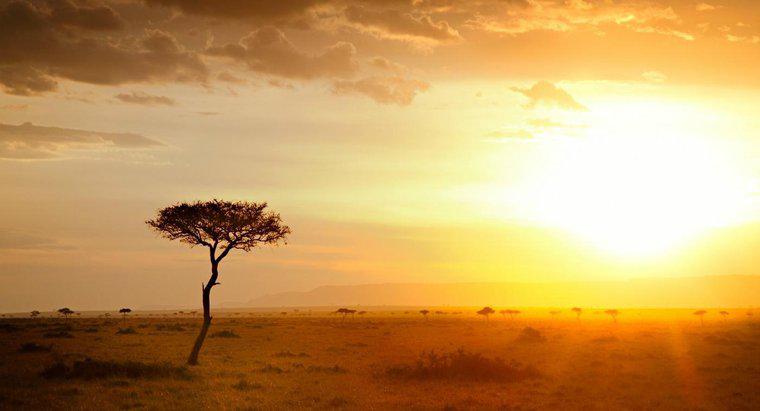¿Cuál es el clima en África?