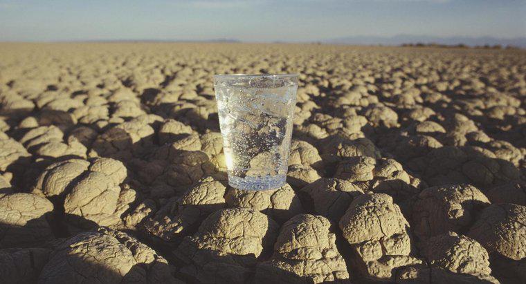 ¿Cuántos días puede un humano sobrevivir sin agua?