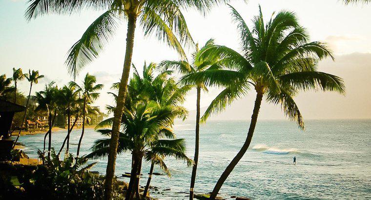 ¿Cuáles son algunos hechos divertidos sobre Hawai?