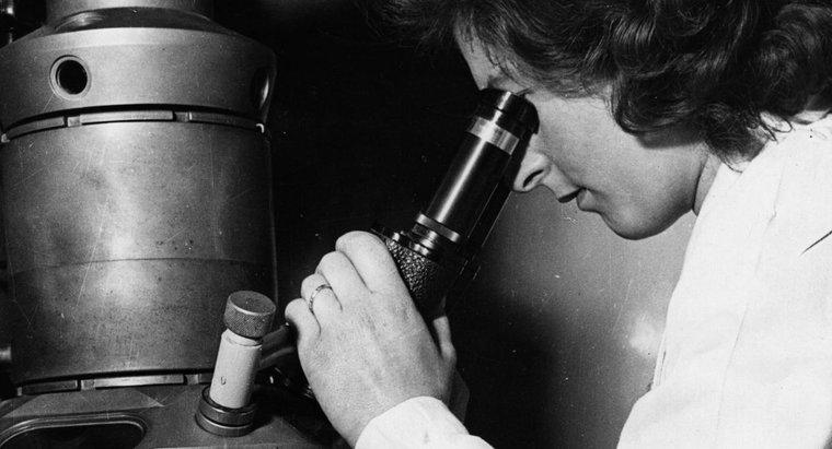 ¿Quién inventó el microscopio electrónico?