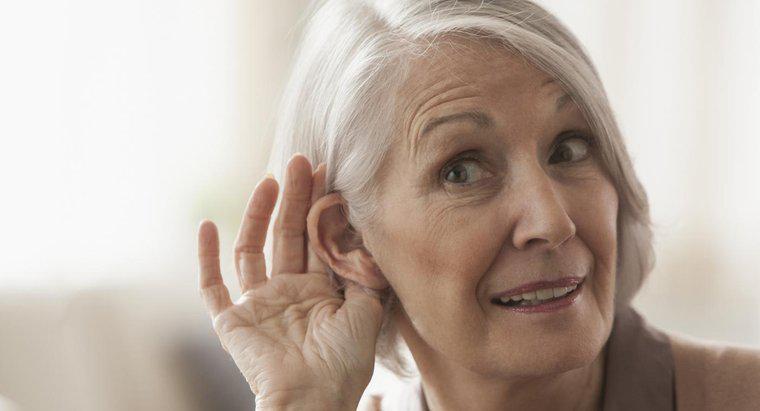 ¿Cuál es el rango aproximado de la audición humana?