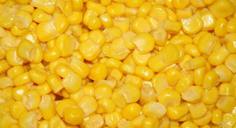 ¿Cómo cocinar maíz enlatado?