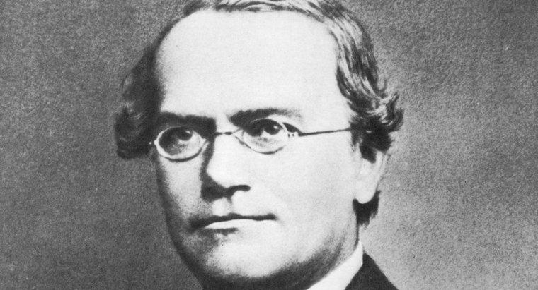 ¿Por qué Gregor Mendel es llamado el padre de la genética?