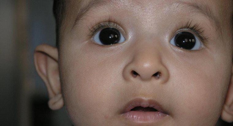 ¿Crecen los ojos después del nacimiento?