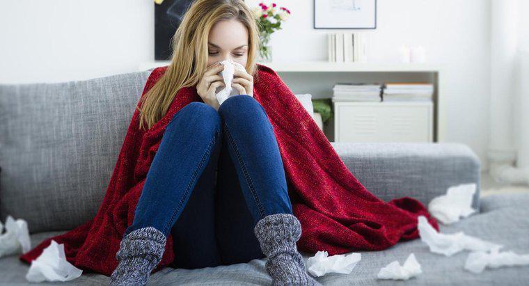 ¿Cuáles son los síntomas del virus de la gripe?
