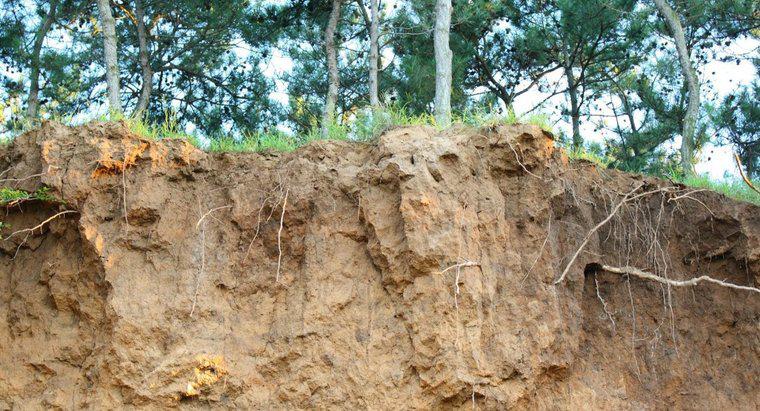 ¿Qué es la erosión del suelo?