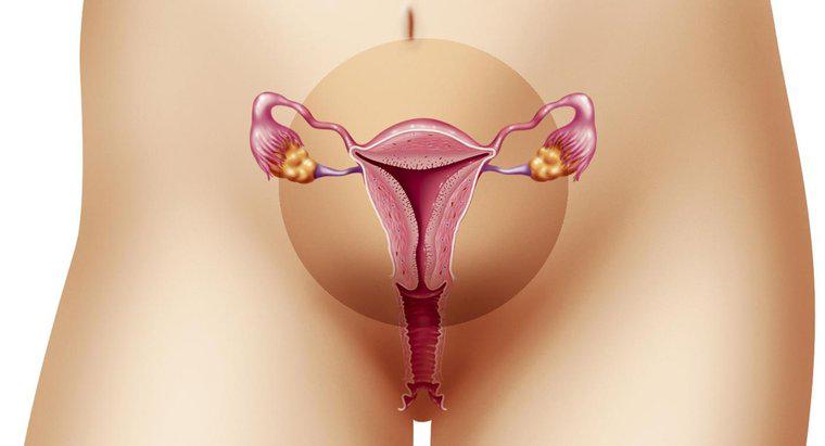 ¿Cuál es el rango normal para el grosor endometrial?