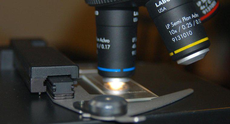 ¿Qué es un diafragma en un microscopio?