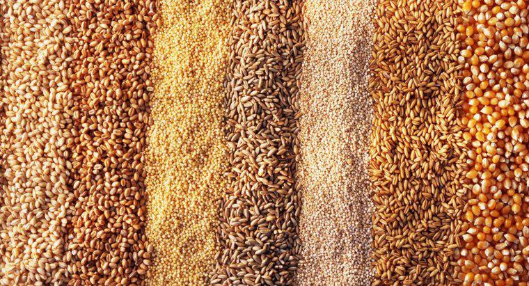 ¿Cuál es la diferencia entre la cebada y el trigo?