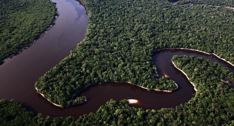 ¿Qué tan ancho es el río Amazonas?
