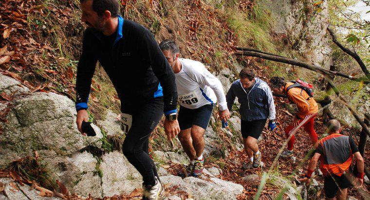 ¿Cuál es la velocidad promedio de la caminata humana?