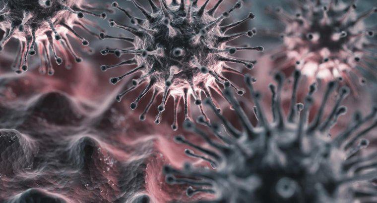 ¿Cuál es el período de incubación para el virus de la gripe?