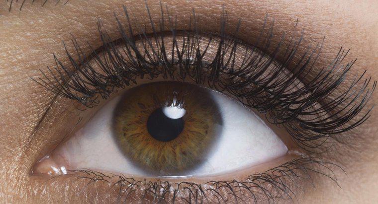 ¿Qué porcentaje de la población tiene ojos marrones?