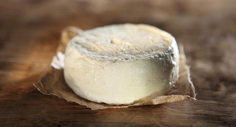 ¿Cuánto tiempo puede sentarse el queso crema?