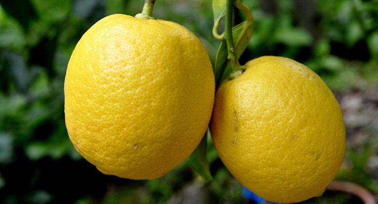 ¿Cuánto pesa un limón?