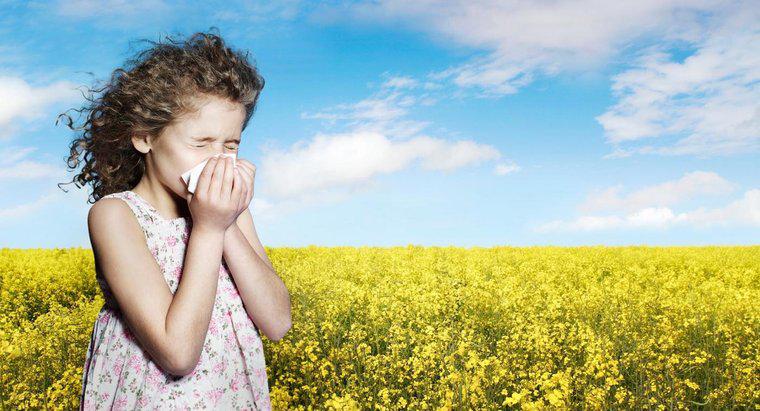 ¿Por qué cerramos los ojos cuando estornudamos?