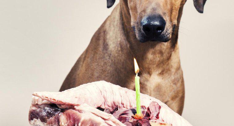 ¿Pueden los perros comer huesos de costilla?