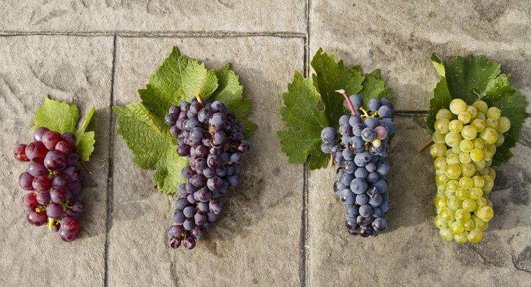 ¿Son las uvas verdes más sanas que las uvas rojas?