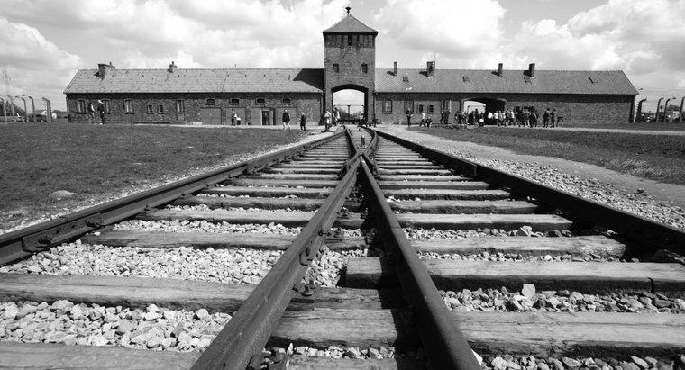 ¿Dónde tuvo lugar el holocausto?