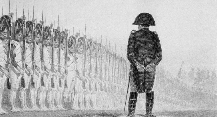 ¿Cómo llegó Napoleón al poder en Francia?