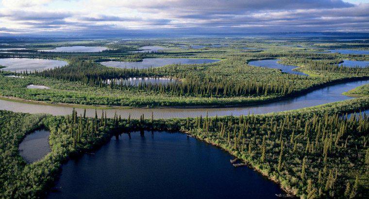 ¿Cuál es el río más largo de Canadá?