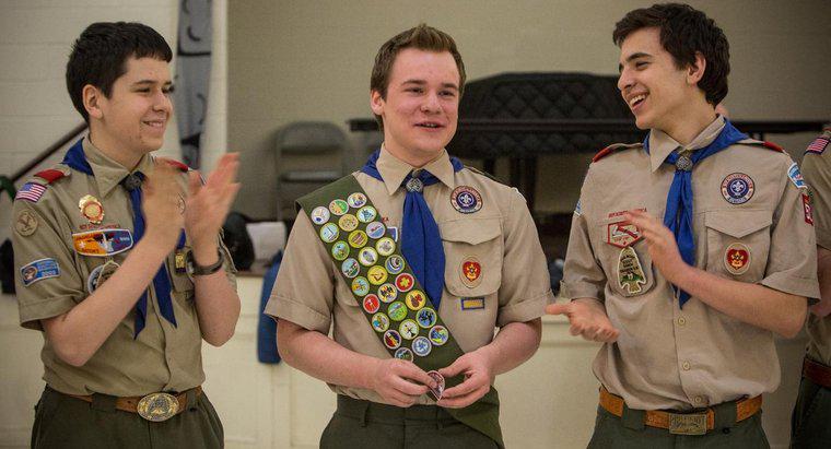¿Cuántas pulgadas hacia abajo en una faja Boy Scout colocas tu primera insignia?