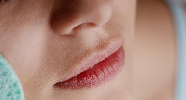 ¿Cómo exfolias tus labios?