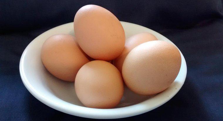¿De qué están hechos los huevos de pollo?