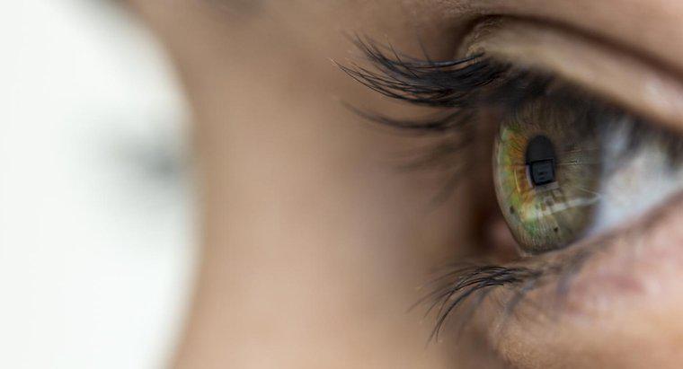 ¿Cuáles son los síntomas de culebrilla en el ojo?