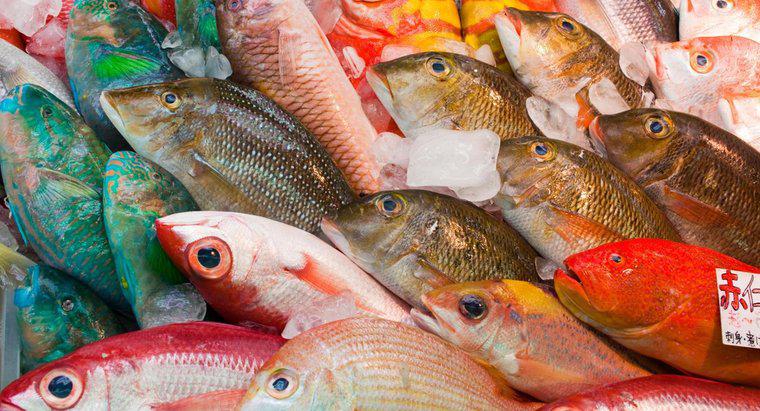 ¿Cuál es el pescado más consumido en el mundo?